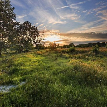 Готель Chalet Heische Tip In Zeeland, Noord-Brabant Voor Max 3 Volwassenen En 2 Kinderen Екстер'єр фото